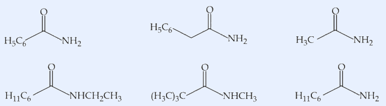 A set of six amide structures provided as the candidate compounds to be counted.