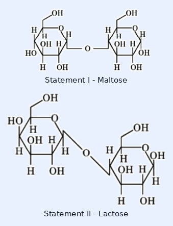Statement I (top): Haworth projection of Maltose — two glucopyranose rings joined by an alpha-1,4-glycosidic linkage. Statement II (bottom): Haworth projection of Lactose — galactose linked to glucose via a beta-1,4-glycosidic linkage.