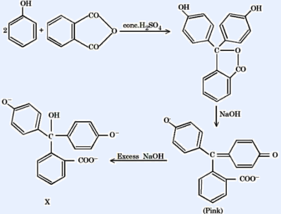 Reaction sequence showing the synthesis and pH behaviour of phenolphthalein. Phthalic anhydride reacts with two molecules of phenol in the presence of concentrated H2SO4 to give phenolphthalein (colourless lactone form). On addition of NaOH the lactone opens to give the pink quinonoid dianionic form (phenolphthalein indicator in base, labelled 'Pink'). On further addition of excess NaOH, the pink quinonoid form (labelled X) is converted into a trianionic (carbinol) form which is colourless.