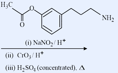 An aromatic substrate: a benzene ring with an H3C-O-C(=O)- (acyl/ester) group and a -(CH2)n-NH2 primary-amine-terminated side chain; multi-step reagents listed (NaNO2/H+, CrO3/H+, H2SO4 conc. heat).