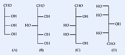 Four Fischer projections labeled A, B, C, D showing different arrangements of CHO, OH, and H groups on vertical carbon chains