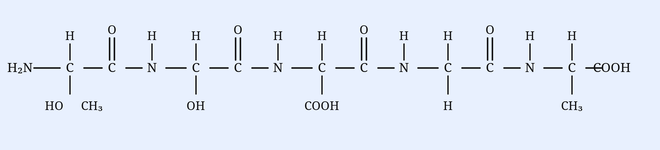 Condensed structural formula of a pentapeptide drawn as a backbone of five alpha-amino acid residues joined by peptide bonds. From the N-terminal end: H2N-CH(side chain CH2-OH)-C(=O)-NH-CH(side chain CH(OH)CH3, i.e. the carbon bears OH and CH3)-C(=O)-NH-CH(H)-C(=O)-NH-CH(side chain CH2-COOH)-C(=O)-NH-CH(side chain CH3)-COOH at the C-terminal end. Each residue is written with the central CH carbon, its NH, its C=O carbonyl with the O drawn above, and the side chains shown below: first residue side chain CH2OH (HO-CH2), second residue bears OH and CH3 (threonine side chain), third residue side chain just H (glycine), fourth residue side chain CH2COOH (aspartic acid), fifth residue side chain CH3 (alanine) terminating in COOH.