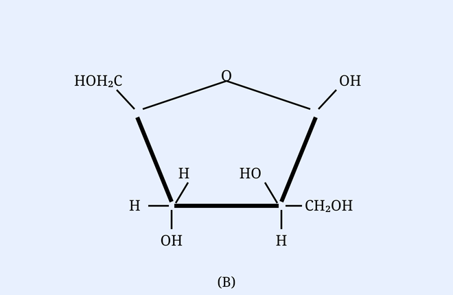 List-I item B drawn figure
