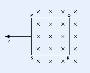 A square loop PQRS (corners P top-left, Q top-right, R bottom-right, S bottom-left) sitting inside a region of uniform magnetic field directed into the page (shown by a grid of x crosses) that fills the right portion of the figure. The loop is being pulled to the left, out of the field region, indicated by a horizontal arrow pointing left labeled v emerging from the left side of the loop. The crosses extend beyond the loop on the top, right and bottom, while the left side is field-free.