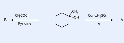 Cyclohexane ring bearing a CH3 group and an -OH on the ring carbon; left arrow CH3COCl / Pyridine gives B, right arrow Conc.H2SO4 / heat (Delta) gives A.