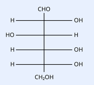 Open-chain Fischer projection of an aldohexose (D-glucose): top CHO, then H-C-OH, HO-C-H, H-C-OH, H-C-OH, bottom CH2OH.