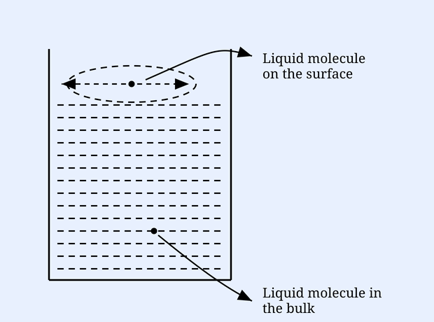 A beaker of liquid showing a surface molecule with net inward force vs a balanced bulk molecule (surface tension).