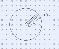 A metallic rod of length L rotating with angular speed omega about one end in a uniform magnetic field directed into the page.