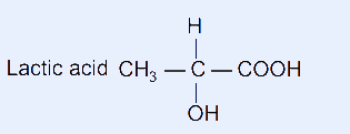 Skeletal structure of lactic acid, CH3-CH(OH)-COOH.