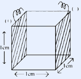 A conductivity cell drawn as a cube (3D box) representing the liquid volume; two shaded (dark side) parallel plate electrodes inside it labelled with a (-) terminal on the right and a (+) terminal on the left. The cube edges are labelled 1cm along the vertical edge (left) and 1cm along the bottom front edge, indicating a 1 cm x 1 cm cross-section with the cell half filled.