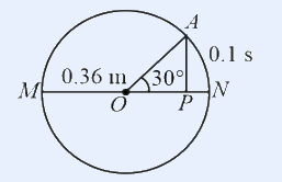 Circle radius 0.36 m, diameter MN, point A on circle at 30 deg above ON, perpendicular projection P on the diameter.