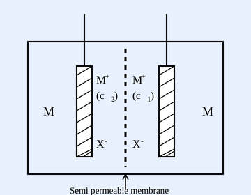 A rectangular electrochemical cell split into two compartments by a vertical dashed semi-permeable membrane. Each compartment holds a hatched metal electrode labelled M. The left compartment is labelled M+ (c2) and X-; the right compartment is labelled M+ (c1) and X-. Two leads emerge from the top of each electrode.