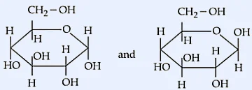 Two Haworth projections of D-glucopyranose displayed side by side, separated by the word 'and'. Both pyranose rings carry $\text{CH}_2\text{OH}$ at $C_5$, the ring oxygen between $C_5$ and $C_1$, and the same H/OH pattern at $C_2$, $C_3$, $C_4$; the only difference is at the anomeric carbon $C_1$: the left structure ($\alpha$-D-glucopyranose) has the anomeric OH pointing down (axial, trans to the $\text{CH}_2\text{OH}$ at $C_5$), while the right structure ($\beta$-D-glucopyranose) has the anomeric OH pointing up (equatorial, cis to the $\text{CH}_2\text{OH}$).
