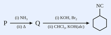 Reaction scheme: P, on treatment with (i) NH3 and (ii) heat, gives Q; Q, on treatment with (i) KOH, Br2 and (ii) CHCl3, KOH(alc), gives cyclohexyl isocyanide (a cyclohexane ring bearing an isocyanide NC group).