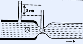 A horizontal venturi tube with a wide section at A and a narrow section at B, each fitted with a vertical column; the column heights differ by 5 cm.