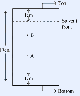 TLC plate sketch: vertical rectangular plate, 'Top' and 'Solvent front' marked near the top with the solvent front 1 cm below the top edge; spots B and A marked along the plate (B above A); baseline 1 cm above the bottom labelled 'Bottom'; total marked height 10 cm between the two 1 cm marks. Distances: A at 5 cm and B at 7 cm from the bottom.