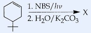 4-tert-butylcyclohex-1-ene treated with (1) NBS/h-nu then (2) H2O/K2CO3 giving product X.