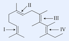 Acyclic diterpene polyene chain with four C=C double bonds labelled I, II, III and IV by arrows. Site I is a terminal isopropylidene (gem-dimethyl) double bond (CH3)2C=CH-; site II is a trisubstituted CH3-bearing double bond; site III is a tetrasubstituted C(CH3)=C(CH3) double bond; site IV is a tetrasubstituted double bond bearing CH3 and an ethyl group.