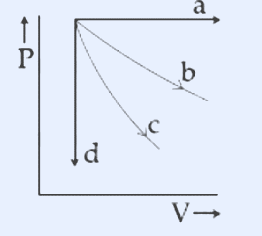 P-V diagram. Vertical axis labelled P (pointing up), horizontal axis labelled V (pointing right). From a common starting point at the top-left, four processes emanate: a horizontal line going right labelled 'a' (constant pressure); a vertical line going straight down labelled 'd' (constant volume); and two curves falling to the lower right, the less steep upper curve labelled 'b' and the steeper lower curve labelled 'c'. Arrows on b and c point down-right indicating direction of expansion.