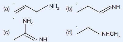 Four labelled structures: (a) allyl-CH2-CH2-NH2 (primary amine on an allylic chain); (b) an allylic chain ending in =NH (imine, sp2 N); (c) a small structure with an NH2 on a carbon double-bonded chain plus =NH (amidine-type with resonance); (d) an allylic chain ending in -NHCH3 (secondary amine).