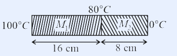 Two cross-hatched rectangular blocks joined end to end in series; the left block is labelled M1 and spans 16 cm, the right block is labelled M2 and spans 8 cm. The left end is at 100 degrees C, the junction at the top is marked 80 degrees C, and the right end is at 0 degrees C.