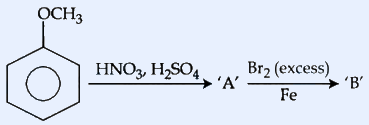 Reaction scheme. Starting material: anisole drawn as a benzene ring with OCH3 substituent at top. Arrow labelled 'HNO3, H2SO4' over it leading to 'A'. Then a second arrow labelled 'Br2 (excess)' on top and 'Fe' below leading to 'B'.