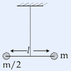 A thin wire hangs from a hatched ceiling at top. The wire connects at its lower end to the centre of a horizontal rigid rod. At the left end of the rod is a shaded circular mass labelled 'm/2' and at the right end is a shaded circular mass labelled 'm'. The full rod length is marked 'l' with an arrow spanning the rod.