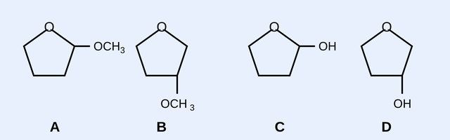 Four oxygen-containing five-membered (tetrahydrofuran-type) ring structures labelled A, B, C, D. A: ring with OCH3 at the 2-position (carbon adjacent to ring oxygen). B: ring with OCH3 at the 3-position. C: ring with OH at the 2-position (adjacent to ring oxygen). D: ring with OH at the 3-position.