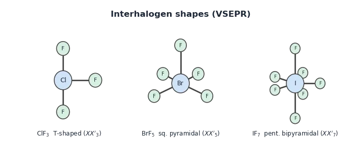 Interhalogen shapes: ClF_3 (T-shaped), BrF_5 (square pyramidal), IF_7 (pentagonal bipyramidal).