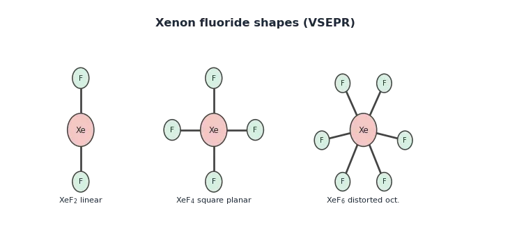Xenon fluorides by VSEPR: XeF2 linear, XeF4 square planar, XeF6 distorted octahedral, with hydrolysis to XeO3 and uses of helium, neon and argon