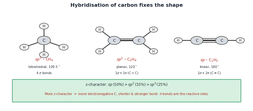 Three carbon hybridisations: sp3 methane tetrahedral at 109.5 degrees, sp2 ethene planar at 120 degrees with one sigma and one pi bond, and sp ethyne linear at 180 degrees with one sigma and two pi bonds, plus the s-character ordering