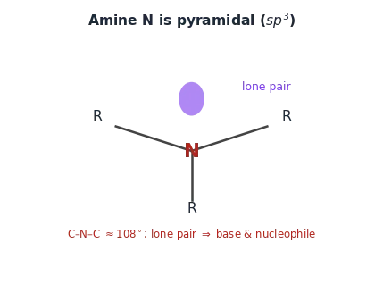 The pyramidal (sp^3) nitrogen of an amine, carrying the lone pair that makes it a base and nucleophile.