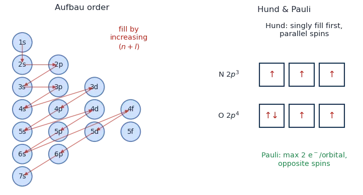 Left: the diagonal (n+l) order of filling orbitals. Right: orbital-box diagrams for nitrogen and oxygen illustrating Hund's rule and Pauli's principle