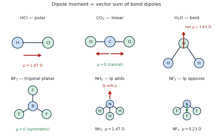 Six molecules showing bond-dipole vectors: HCl polar, CO2 and BF3 cancelling to zero, H2O bent with net dipole, and NH3 versus NF3 where the lone pair adds or opposes