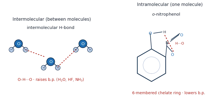 Left: water molecules linked by intermolecular hydrogen bonds; right: o-nitrophenol with an intramolecular hydrogen bond forming a six-membered ring