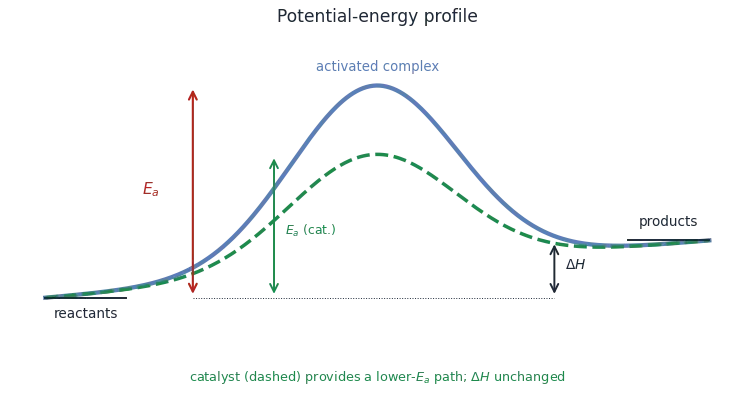 Potential energy versus reaction coordinate: reactants rise over an activation-energy barrier through the activated complex to products, with a lower dashed catalysed path and the reaction enthalpy delta H