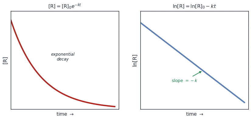 Left: concentration decaying exponentially with time; right: natural log of concentration falling as a straight line of slope minus k
