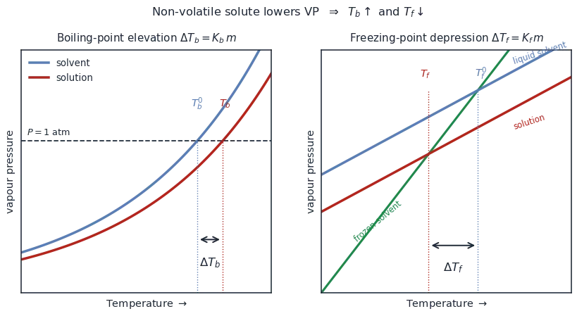 Two plots: solution vapour-pressure curve below the solvent curve, raising the boiling point at 1 atm and lowering the freezing point where it meets the solid curve