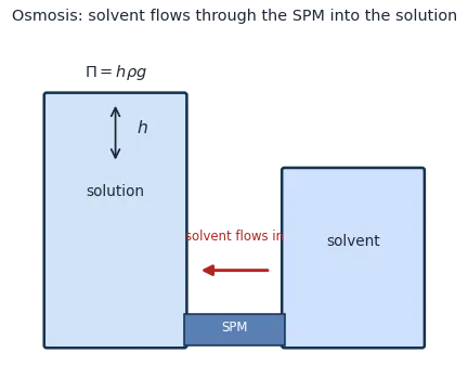U-tube with a semipermeable membrane: solvent flows into the solution raising its level by height h, with osmotic-pressure equations and tonicity definitions