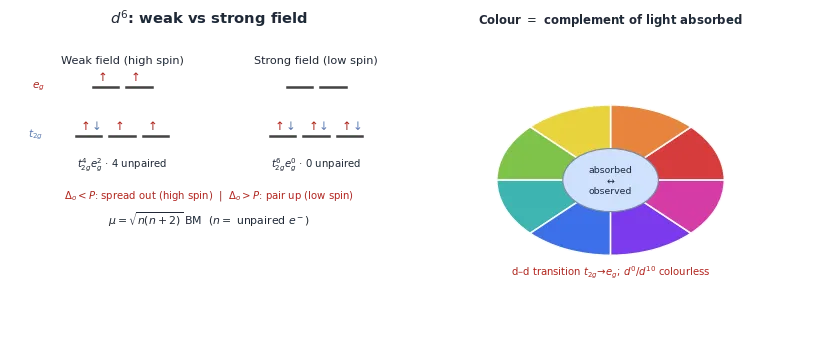 d6 electron filling under a weak field giving high spin t2g4 eg2 with 4 unpaired electrons versus a strong field giving low spin t2g6 with zero unpaired, plus a colour wheel showing observed colour as the complement of the absorbed light