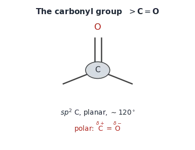 The carbonyl group: a planar sp^2 carbon polarised d+C=d-O.