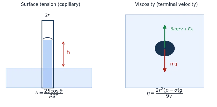 Left: water rising height h in a capillary tube of radius r. Right: a sphere falling at terminal velocity with weight mg balanced by viscous drag plus buoyancy