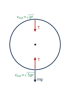 Vertical circle: v_top = sqrt(gr) with T toward centre at top, v_bot = sqrt(5gr) at bottom