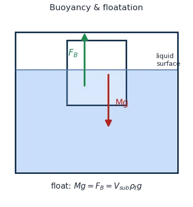 Block floating partly submerged with weight Mg down and buoyant force F_B up balancing