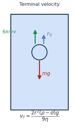 Sphere falling in viscous liquid: weight down balanced by buoyancy and viscous drag up at terminal velocity