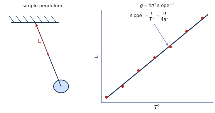 Pendulum and L vs T-squared straight line