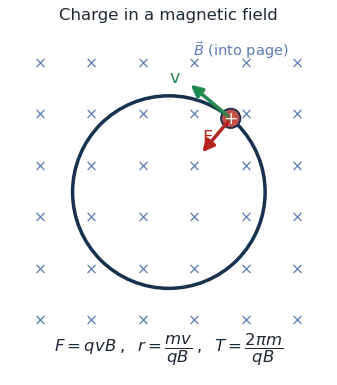 A positive charge moving in a magnetic field into the page follows a circular path with the magnetic force pointing to the centre
