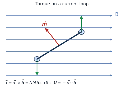 A current loop in a uniform field experiences a torque that tends to align its magnetic moment with the field