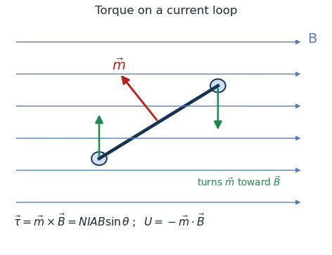 A current loop in a uniform field experiences a torque that tends to align its magnetic moment with the field